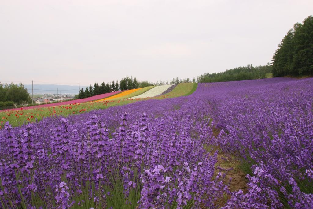 Hotel Furano Shiyuirin Kamifurano Exterior foto